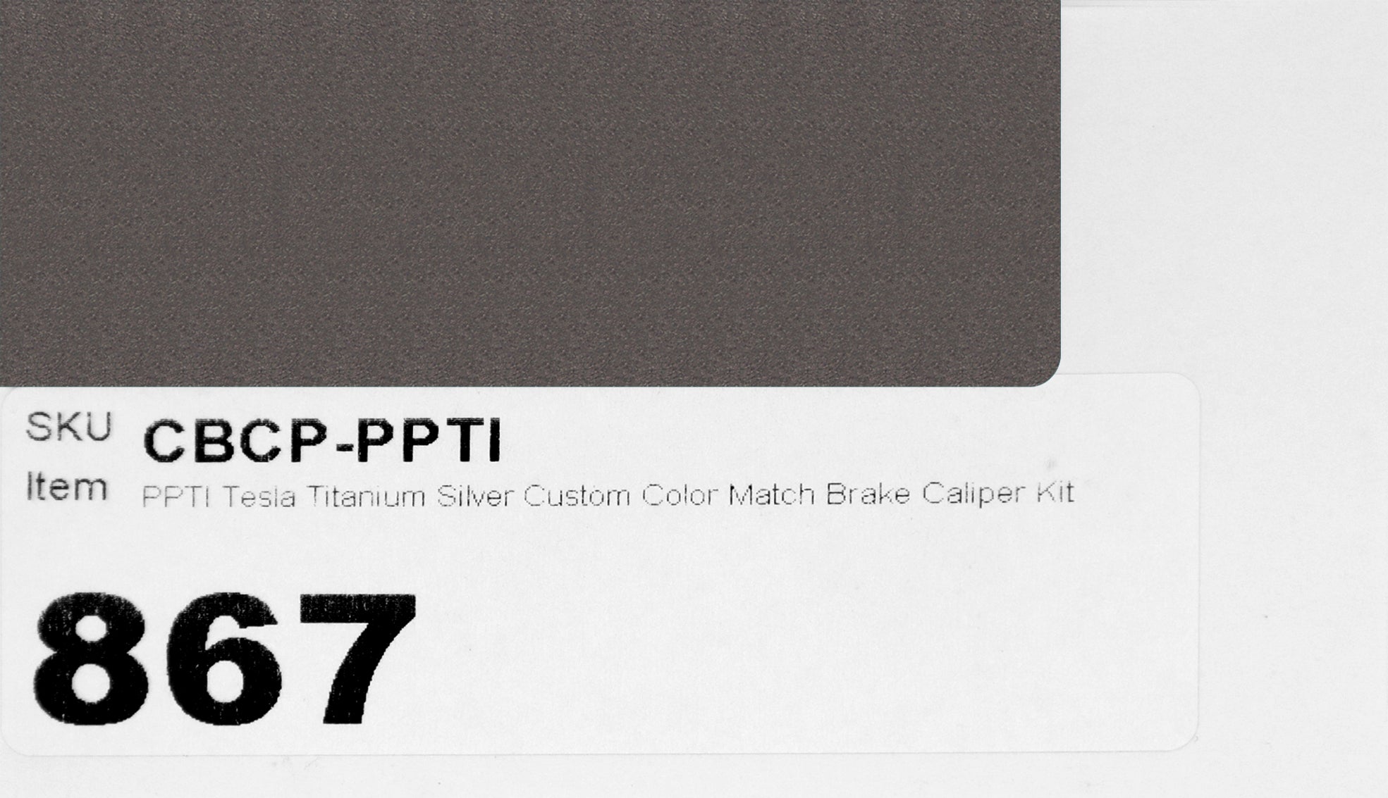 PPTI Tesla Titanium Silver Custom Color Match Brake Caliper Paint