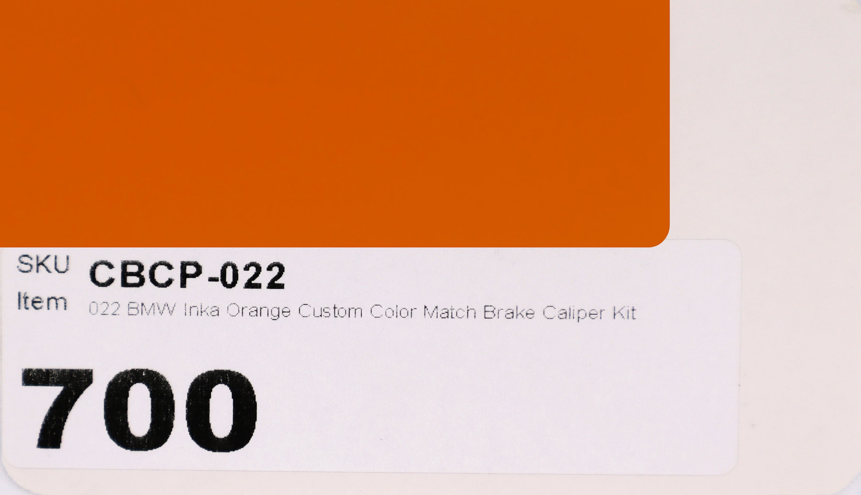 022 BMW Inka Orange Custom Color Match Brake Caliper Paint